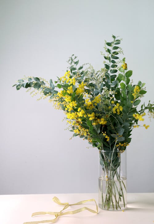 bitki, Çiçekler, dekorasyon içeren Ücretsiz stok fotoğraf