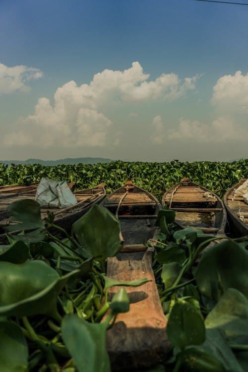 Boats on river for future fishing 