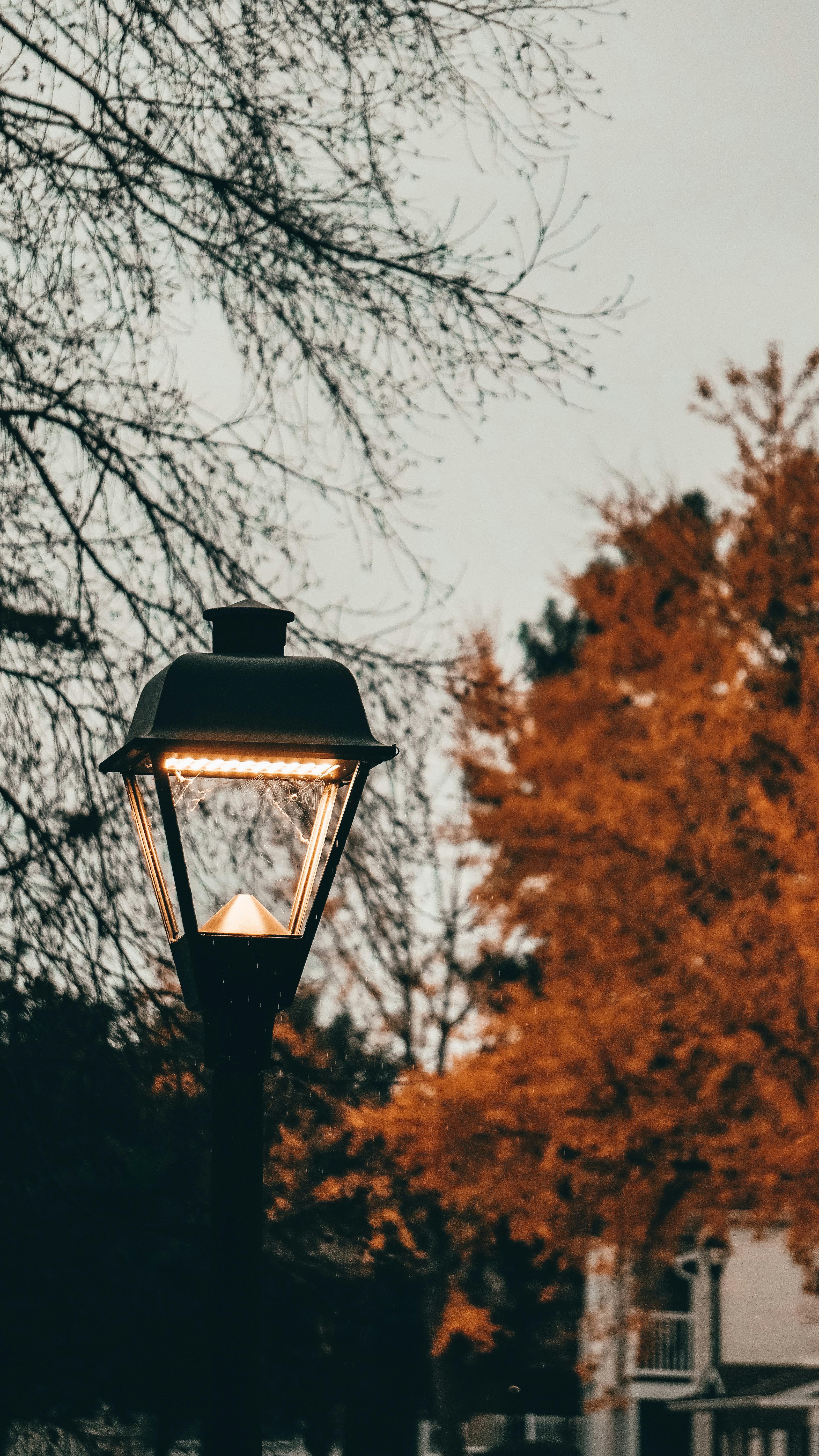 streetlight in autumn