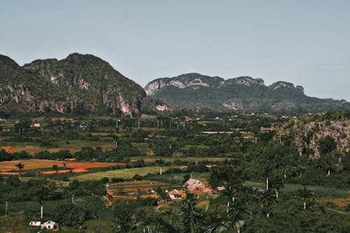 Imagine de stoc gratuită din arbori, câmpuri, formațiuni stâncoase