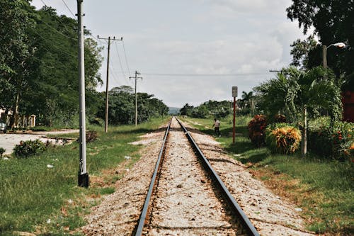 Railway Tracks in Summer Scenery