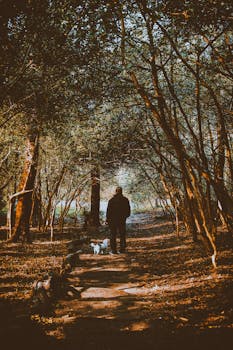 一个人沿着森林小路遛狗，四周树木环绕，环境宁静