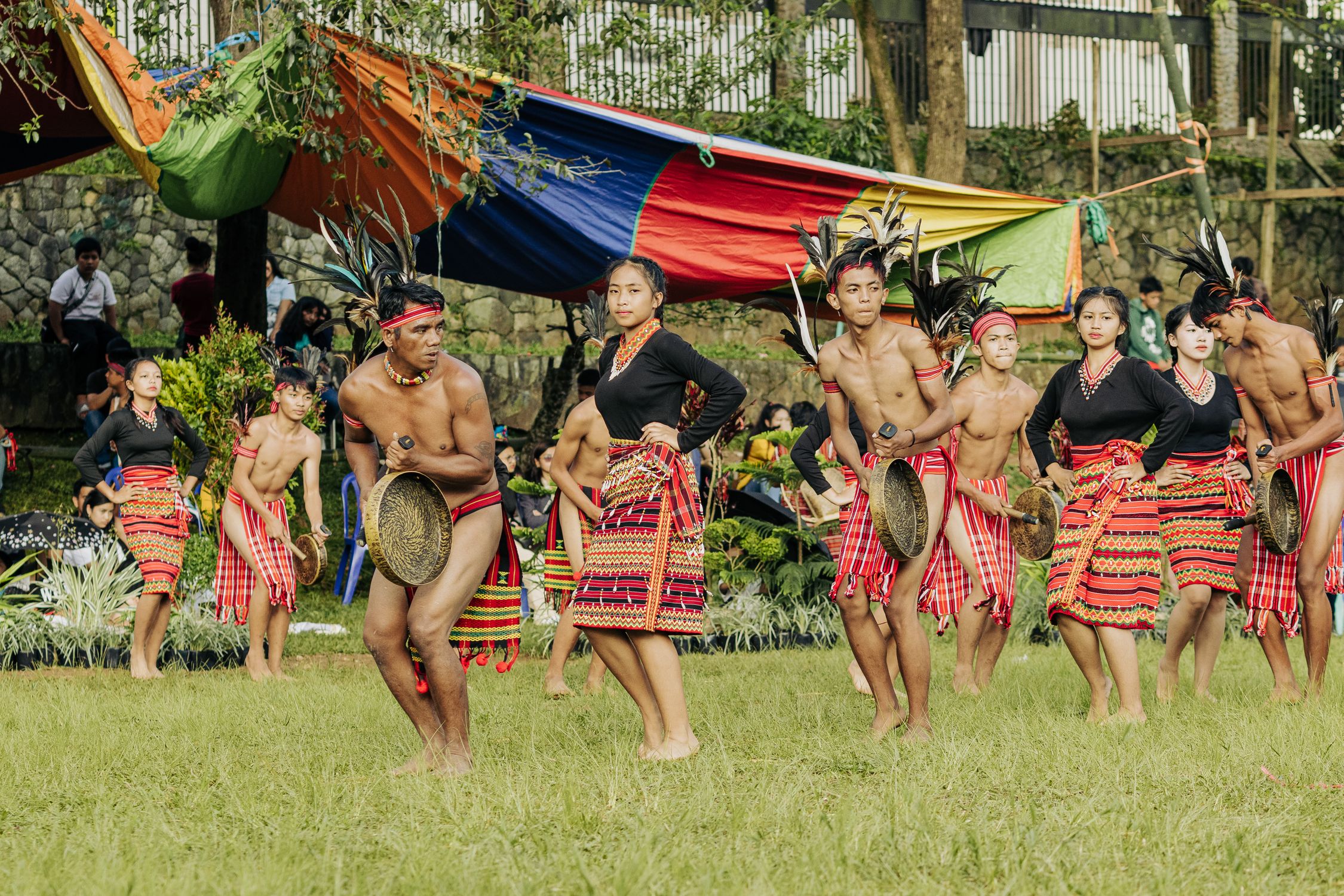 Performance in Tribal, Traditional Clothing · Free Stock Photo