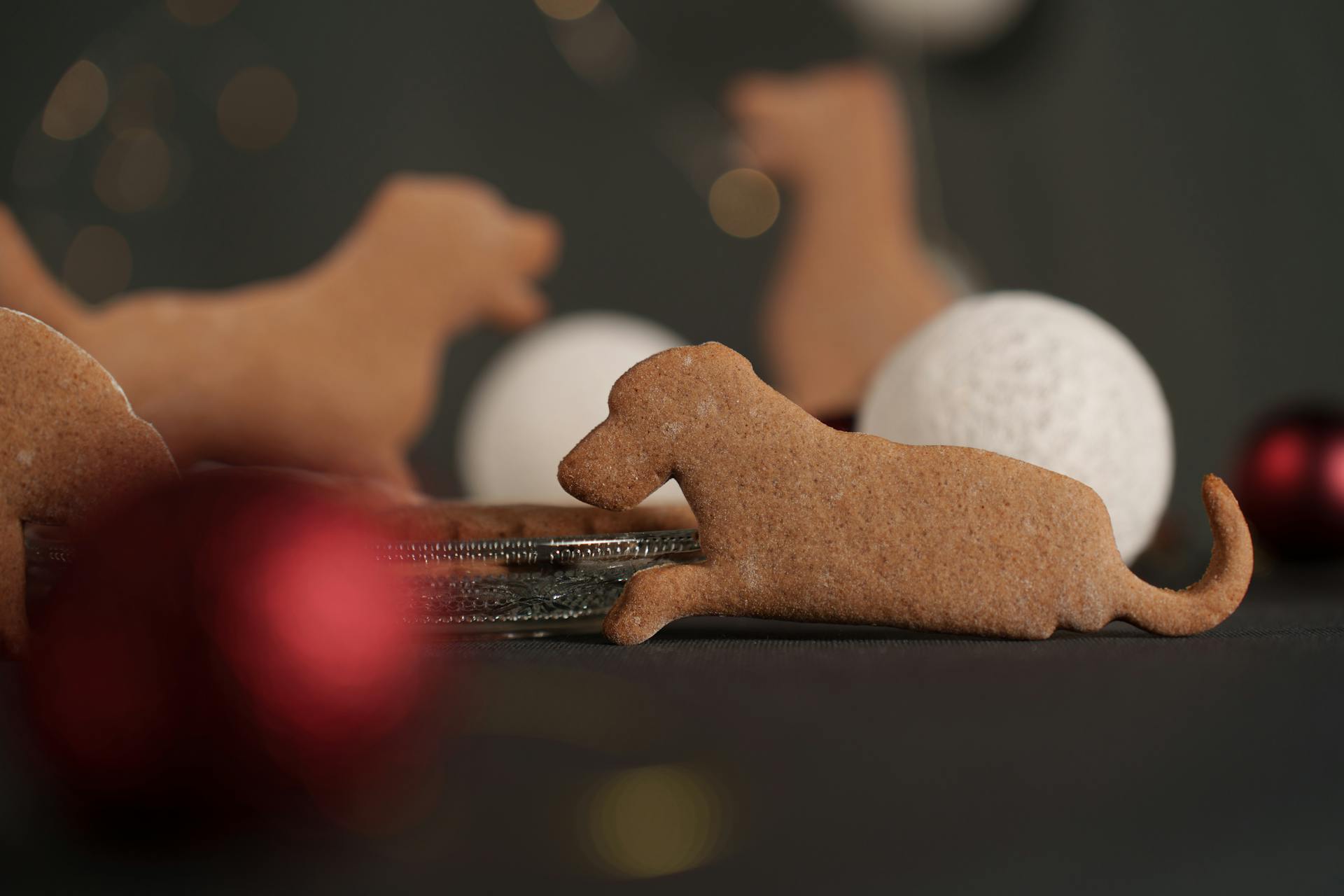 Close-up of Gingerbread Cookies in Dog Shapes