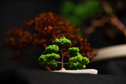 bonsai handmade