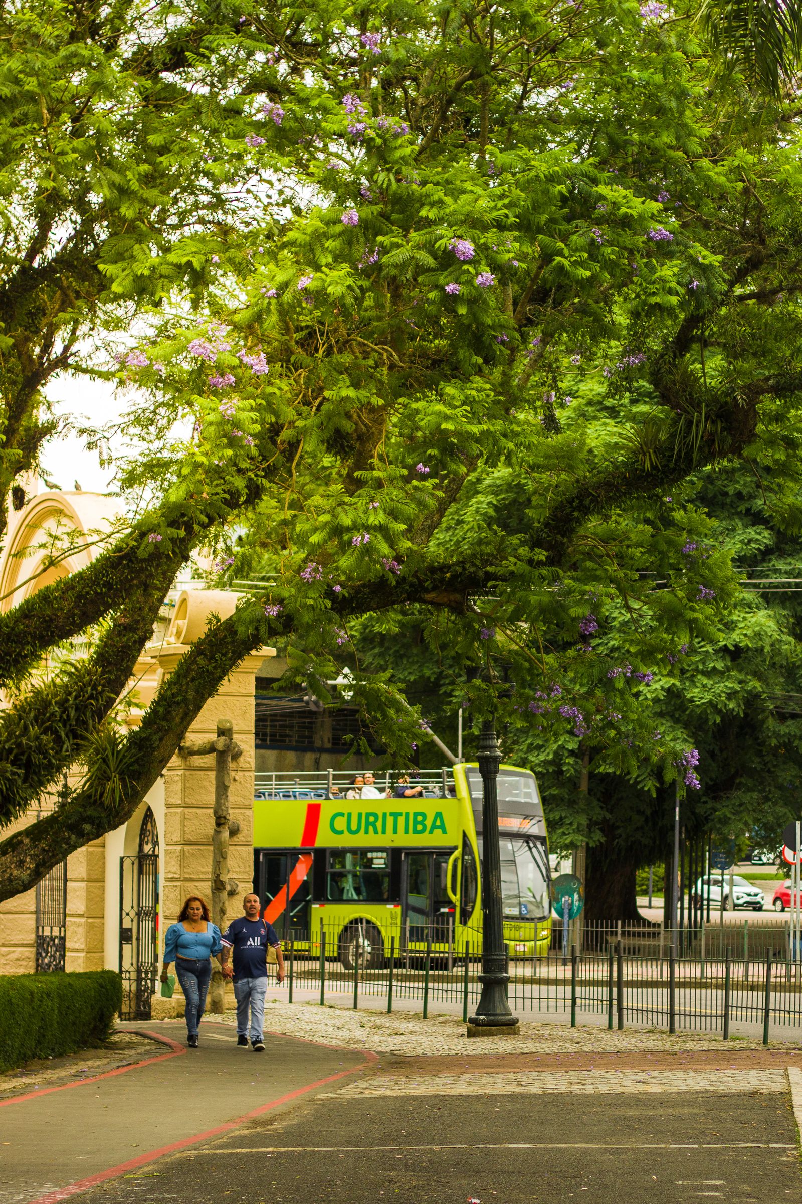 Curitiba vista do alto