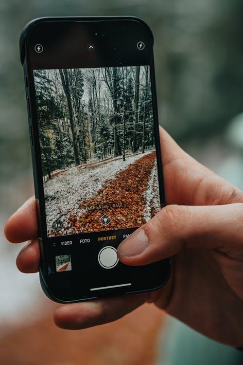 Smartphone Screen while Taking Photos of a Snowy Hillside in the Forest
