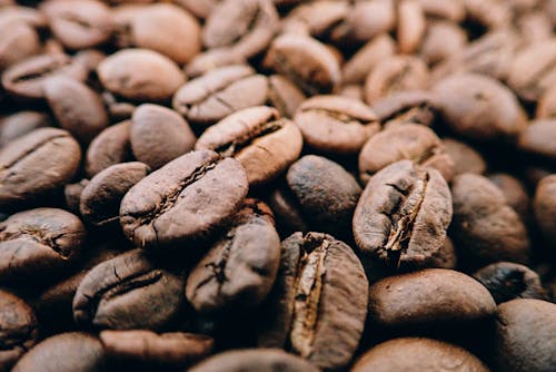 Free Brown Beans Stock Photo