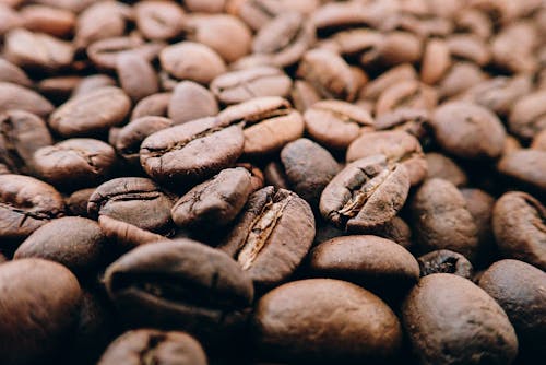 Free Coffee Beans Stock Photo