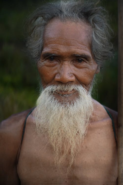 Portrait of an Elderly Man with a Long Gray Beard 