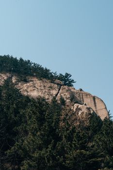 A serene view of a rocky cliff surrounded by pine trees under a clear blue sky, captured in a vertical shot.