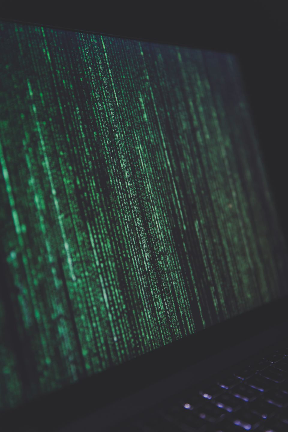 Python development environment with code