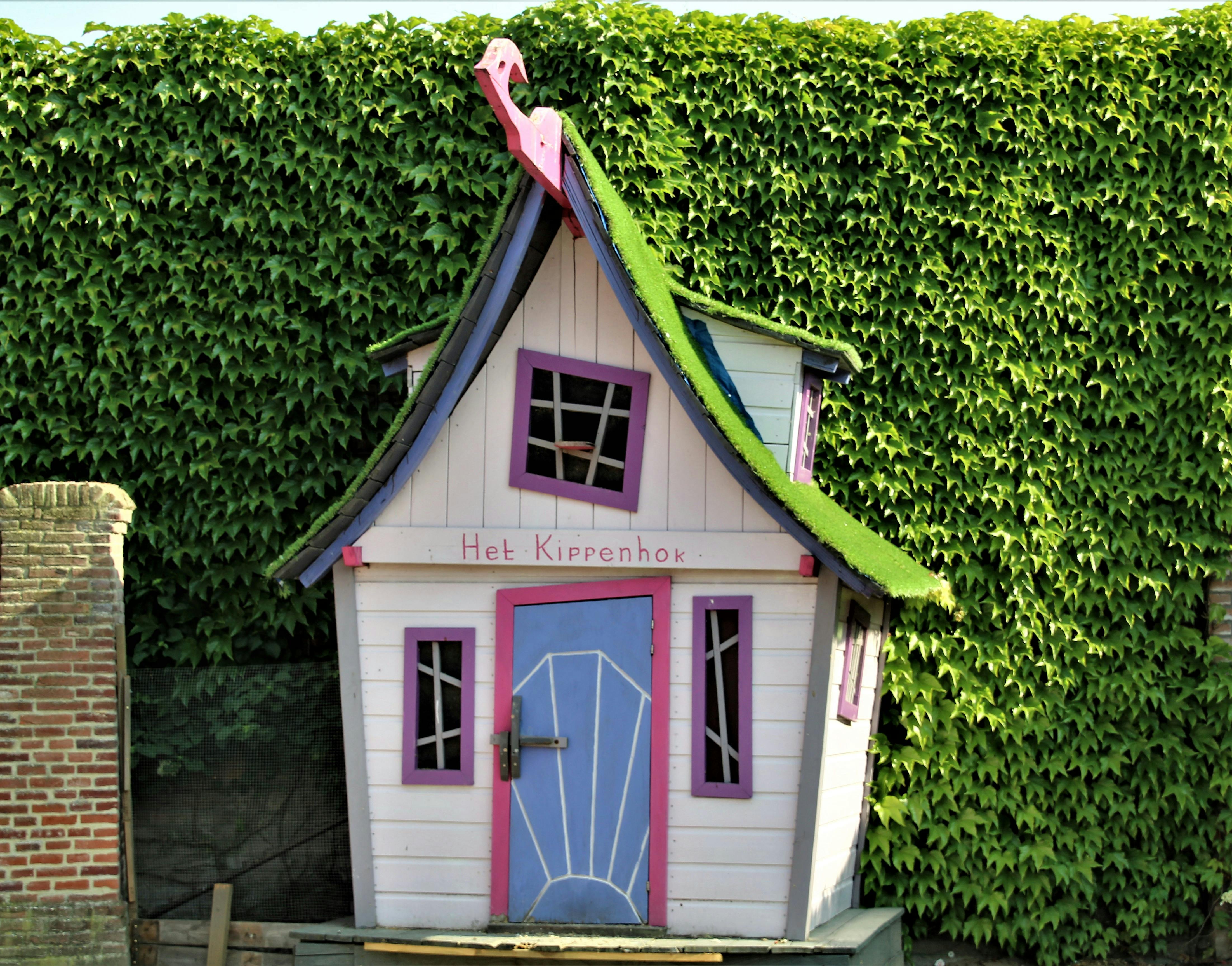 Free Stock Photo Of Chicken Coop