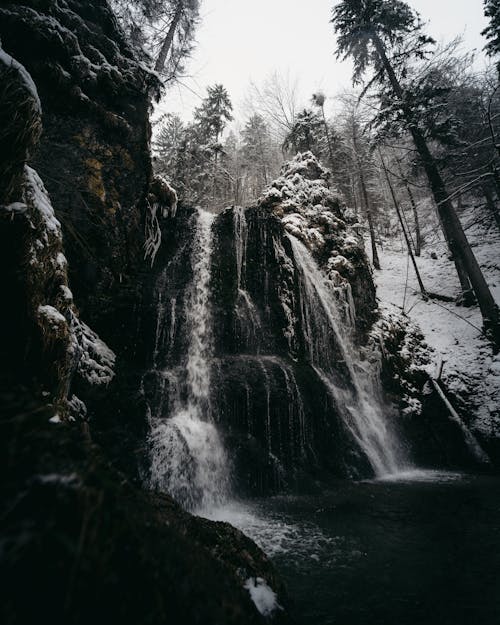 Ingyenes stockfotó áramló, erdő, fák témában