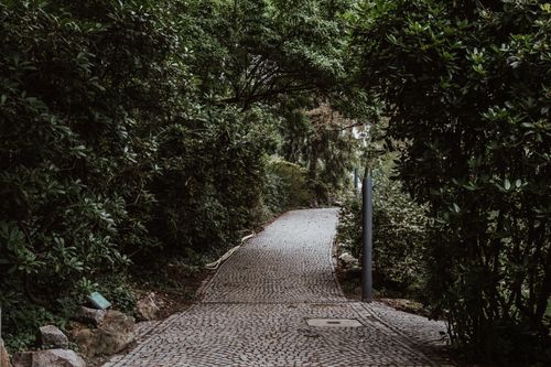 Free A tranquil cobblestone pathway surrounded by dense greenery, perfect for relaxation. Stock Photo