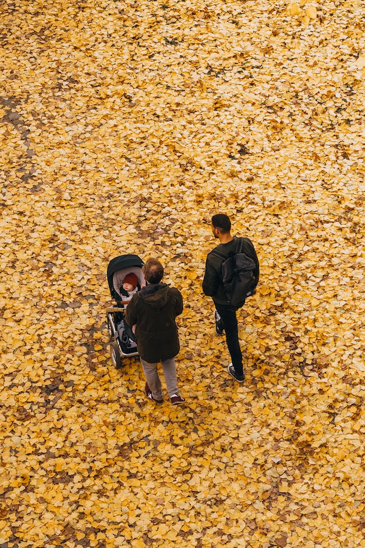 Men With Baby In Carriage In Autumn