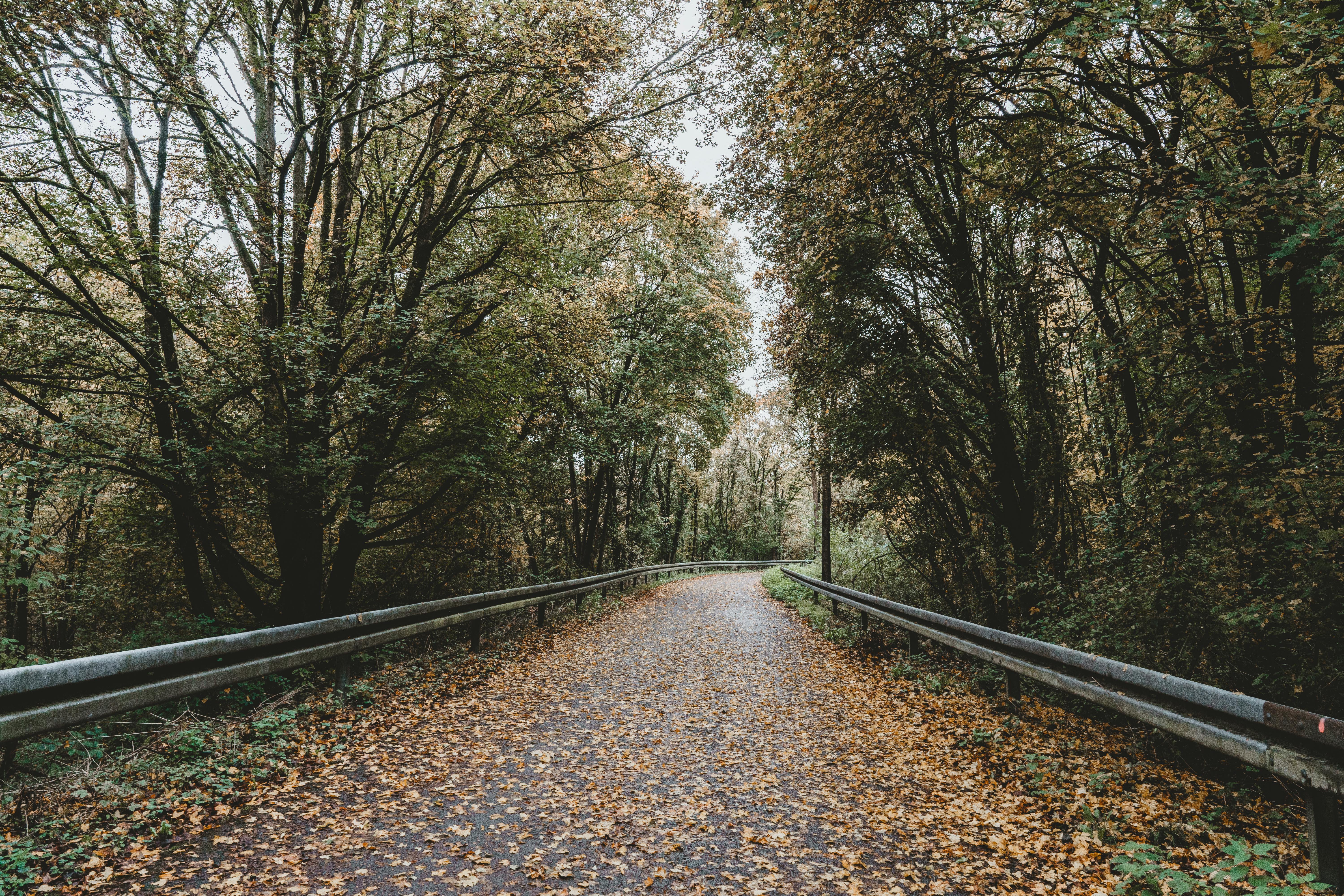 Why Do Puppies Have Extra Wet Noses? The Cutest Reason Revealed!