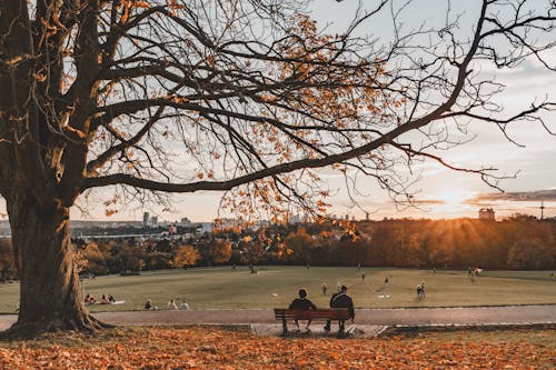 People Relaxing in the Autumn Park at Sunset