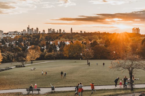 Fotobanka s bezplatnými fotkami na tému frankfurt am main, lohr park, mesta