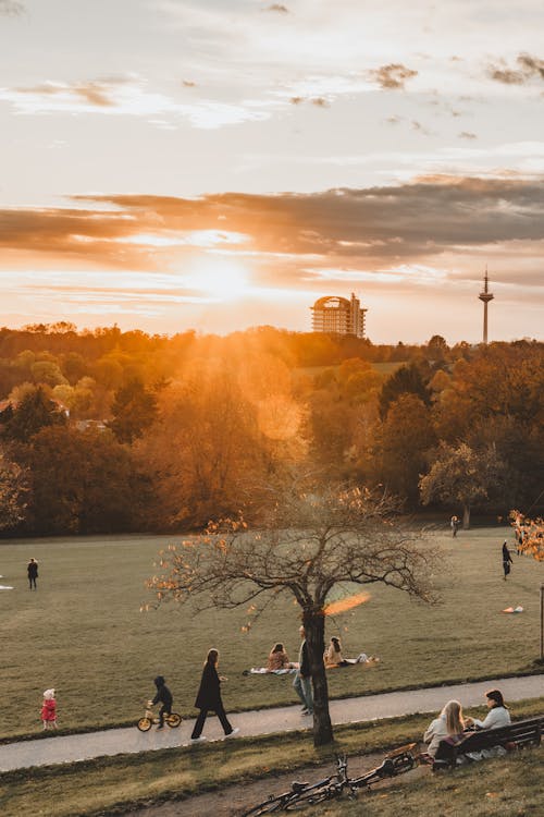 Free People Relaxing in Park at Sunset Stock Photo