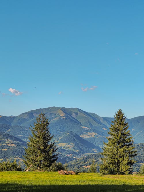 垂直拍摄, 山, 景觀 的 免费素材图片