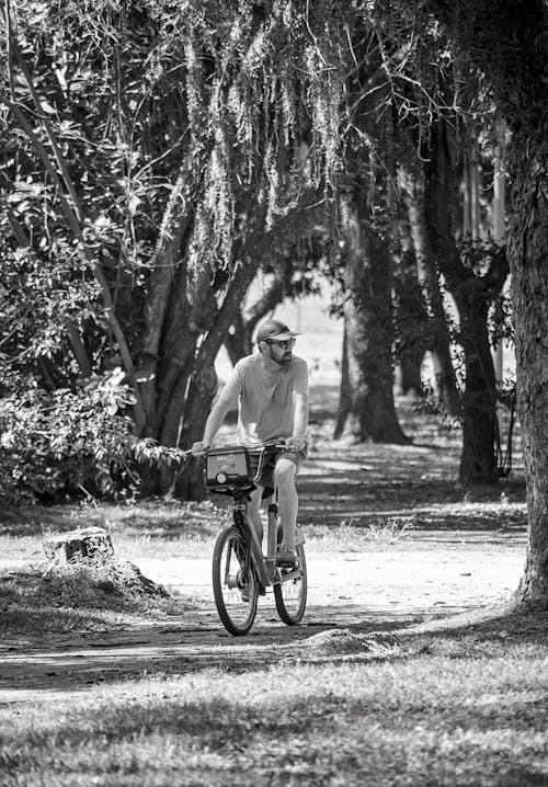 Foto d'estoc gratuïta de anant amb bici, arbres, blanc i negre