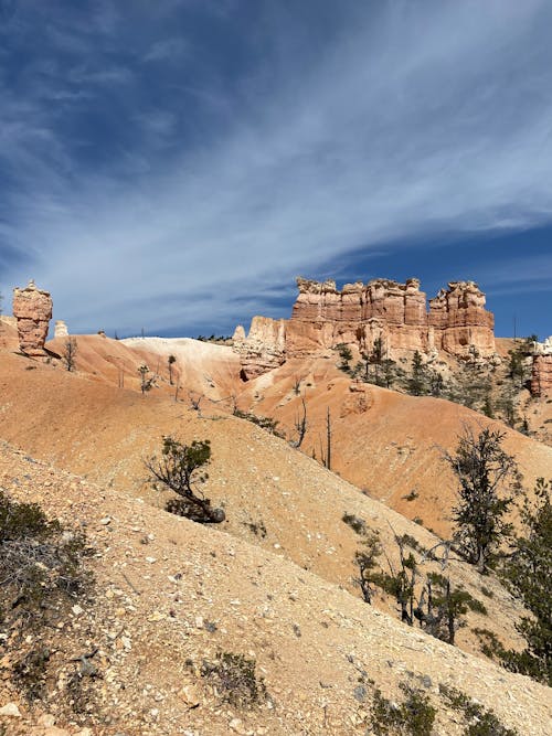 Arid Landscape with Rock Formations