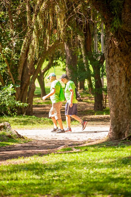 Free Two senior men walking in a sunny, leafy park pathway, capturing peaceful outdoor recreation. Stock Photo