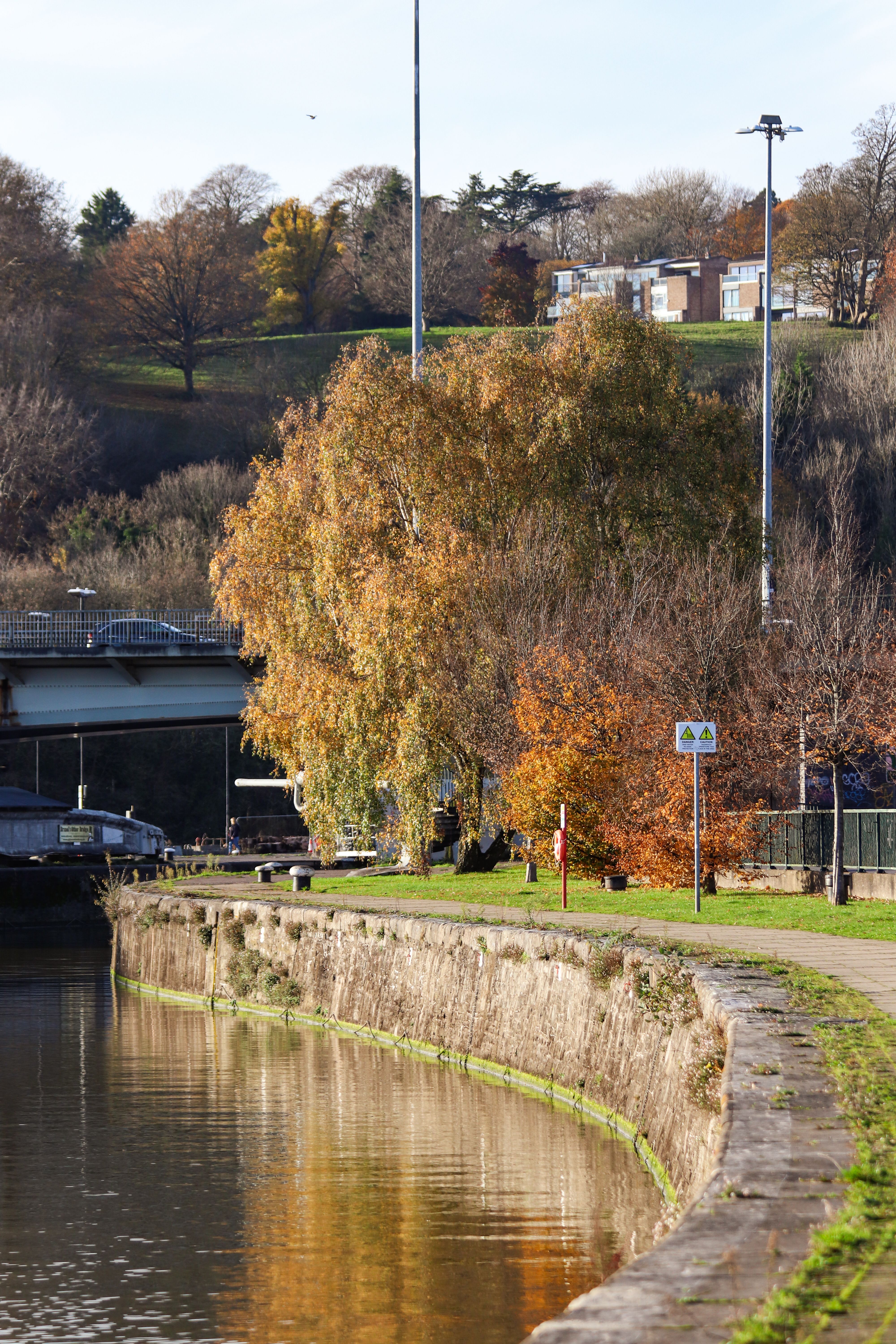 Promenade along River in Autumn · Free Stock Photo