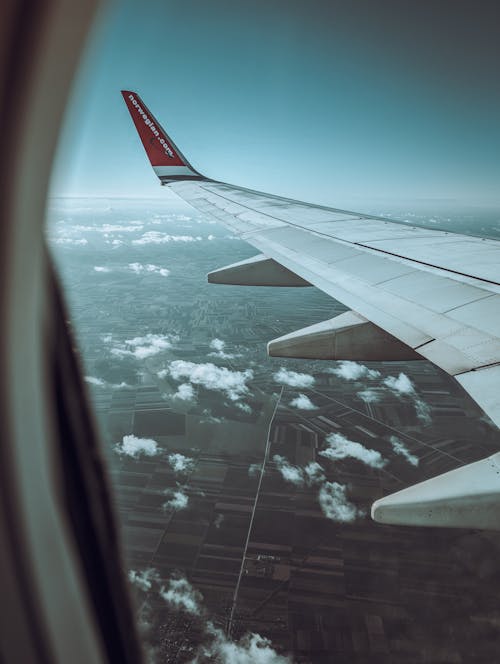 Immagine gratuita di aeroplano, ala, finestra