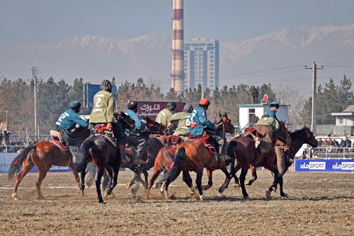 賽馬, 運動, 運動服 的 免費圖庫相片