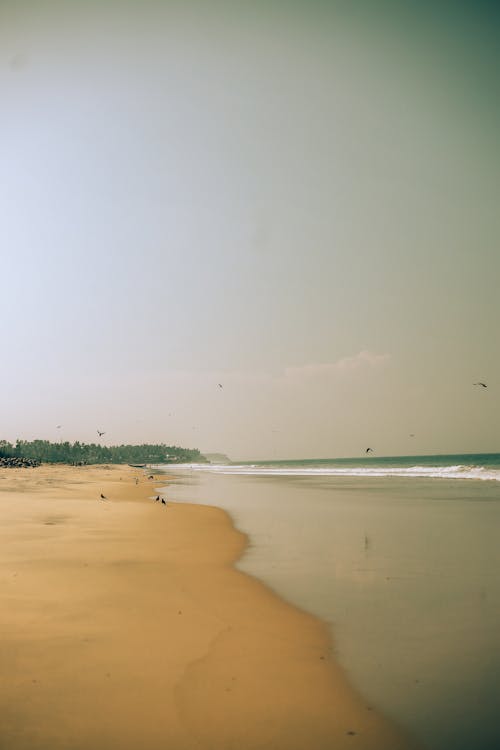 View of the Beach and Sea 