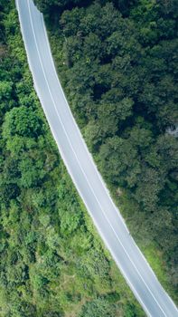 Top-down drone shot of a winding road through dense greenery in a rural area.