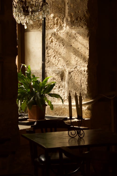 Plant on Windowsill near Stone Wall