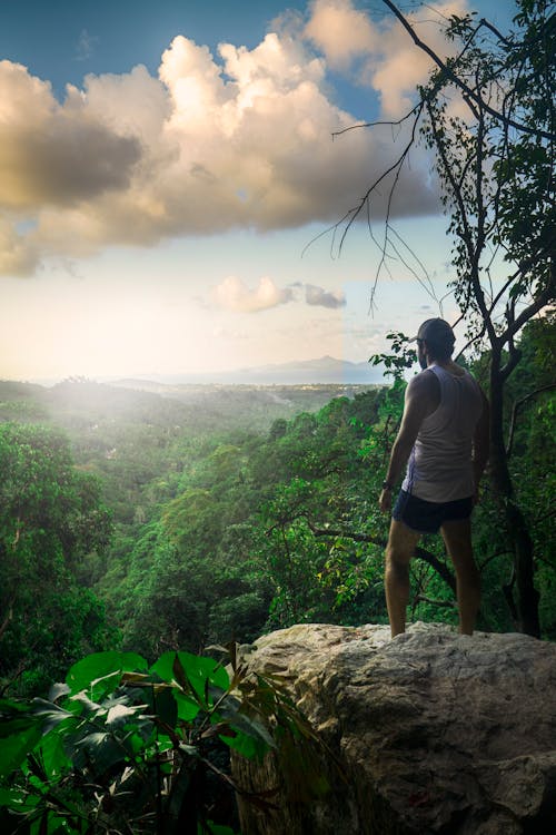 Základová fotografie zdarma na téma dešťový prales, dobrodružství, džungle