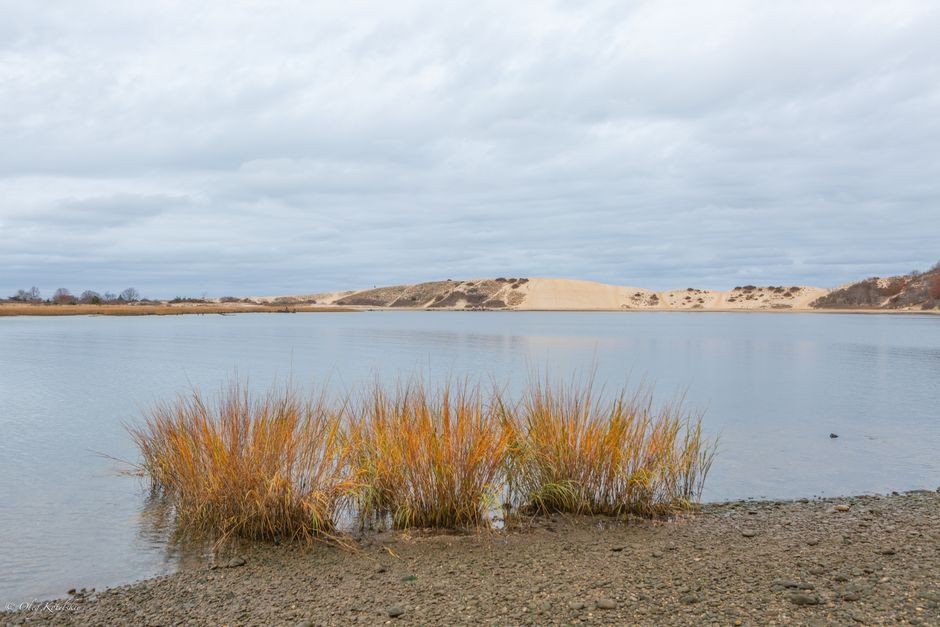 Kenfig NNR — view 1