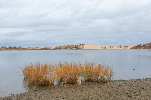 Free A calming view of a lake surrounded by dunes and rushes under a cloudy sky. Stock Photo