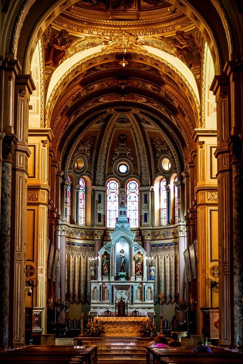 Free Beautifully detailed interior of the Ribeirao Preto Cathedral in Sao Paulo, Brazil, showcasing stunning architecture. Stock Photo