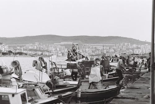 bağlı, deniz, deniz kıyısı içeren Ücretsiz stok fotoğraf