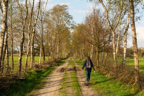 Free A young boy with a backpack walks down a scenic rural dirt road lined with trees on a sunny day. Stock Photo
