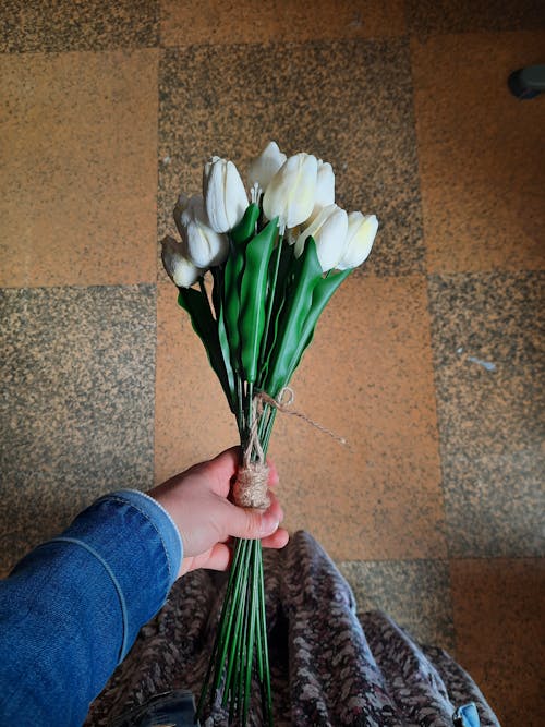 Hand of a Woman Holding a Bunch of White Tulips