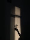 Hand Holding Flowers Shadow
