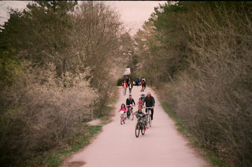 Tourists on Bicycles Riding Along the Road Among the Trees