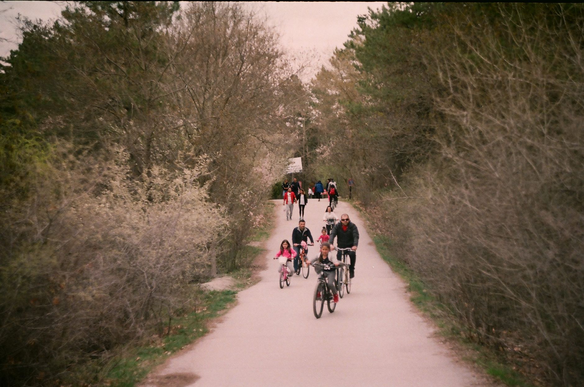 Vélo gourmand
