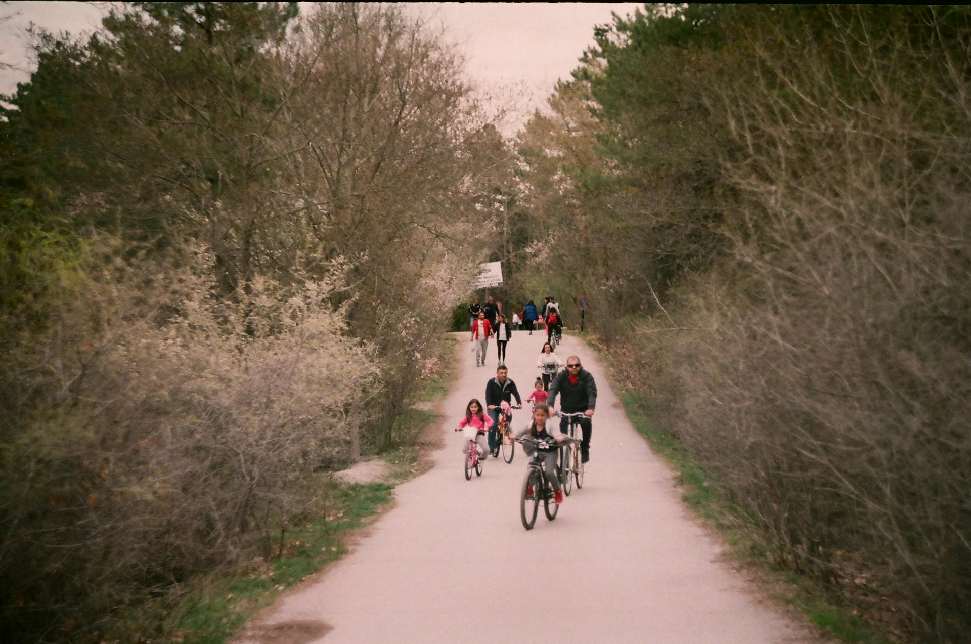 A group of families cycling along a scenic rural path surrounded by nature.