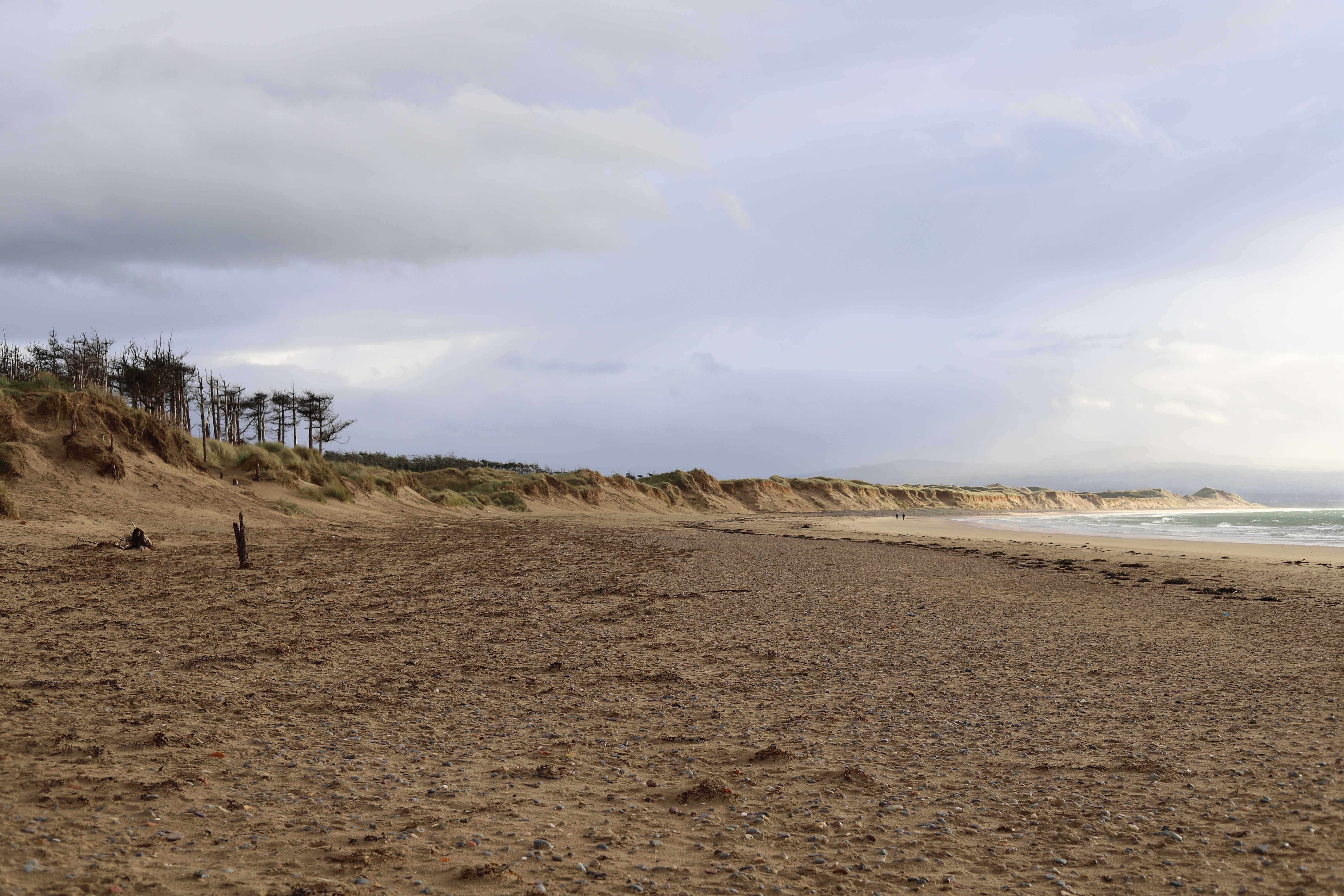 A tranquil sandy beach with coastal dunes under an overcast sky, perfect for a peaceful escape.