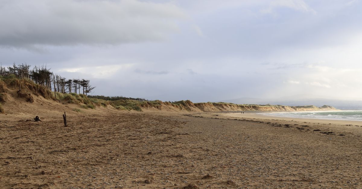 A tranquil sandy beach with coastal dunes under an overcast sky, perfect for a peaceful escape.