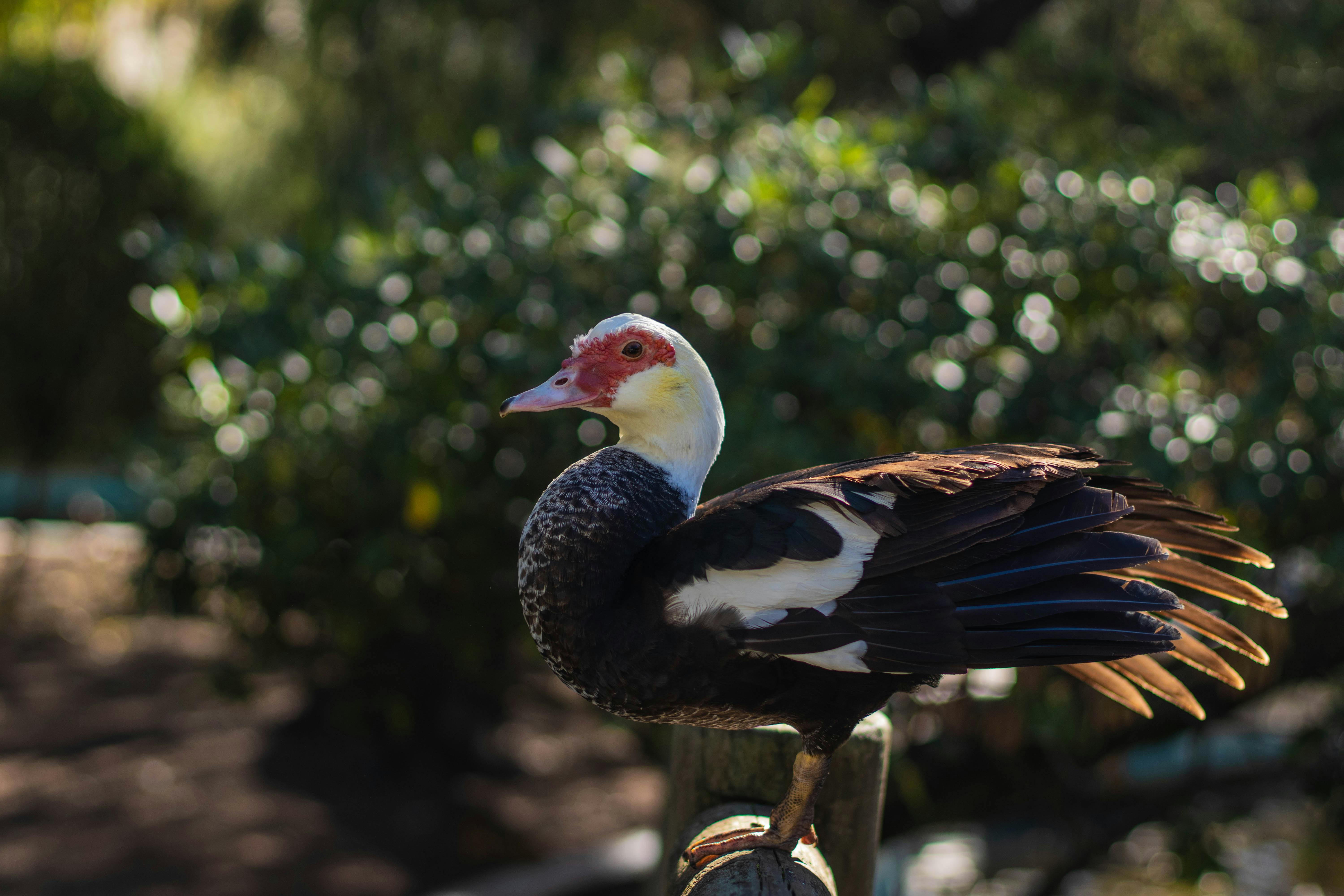 Landmarks in Beja District