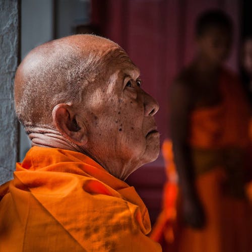 Elderly Buddhist Monk