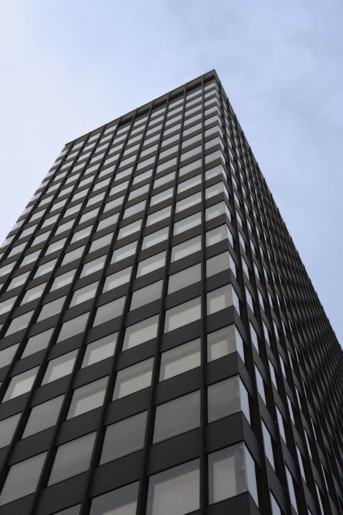 Low Angle Shot of a Modern Skyscraper in City 